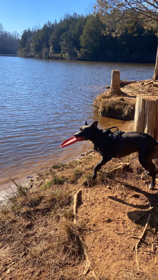 Chris Greene Lake Dog Park